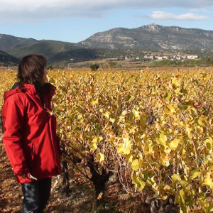 Les Clos d'Elis, Mas de Boissonnade, Gignac