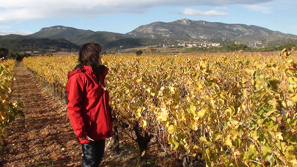 Les Clos d'Elis, Mas de Boissonnade, Gignac