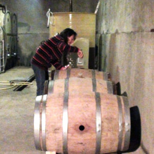 Vinification Clos d'Elis