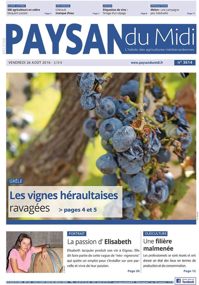 Elisabeth Jacquier - Paysans du midi 2016