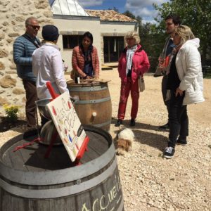 Dégustation des vins au Mas de Boissonnade