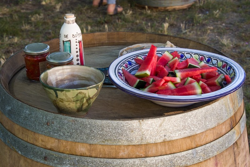 Dégustation de vins au Mas de Boissonnade