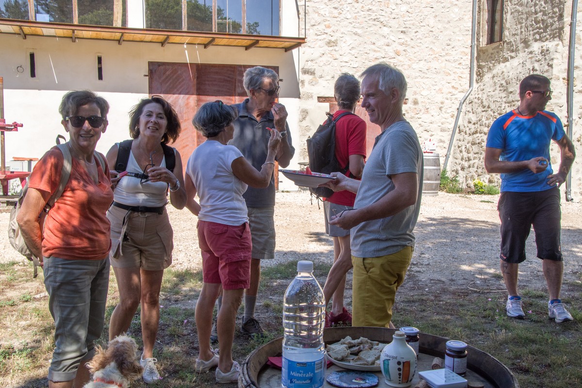 Dégustation de vins au Mas de Boissonnade