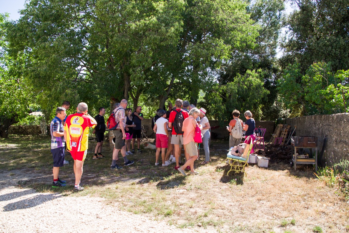 Dégustation de vins au Mas de Boissonnade