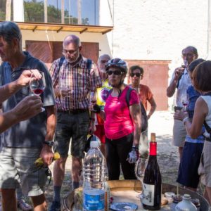 Dégustation de vins au Mas de Boissonnade