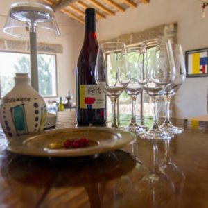 Dégustation de vins au Mas de Boissonnade