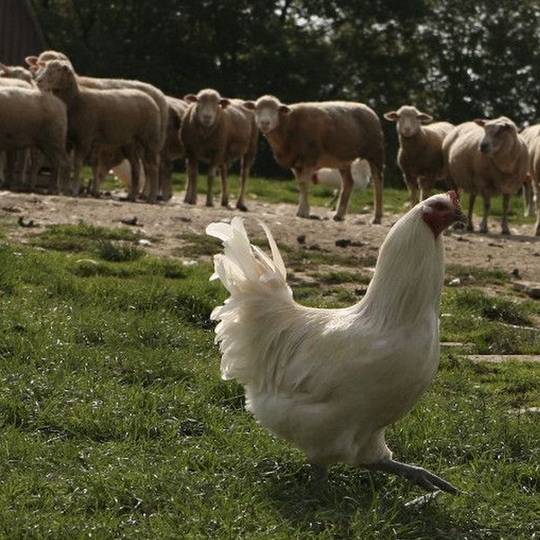 Domaine de la Pérouse