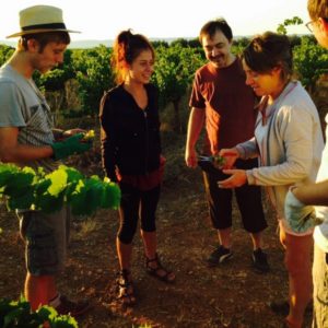 Les Clos d'Elis, Mas de Boissonnade, Gignac