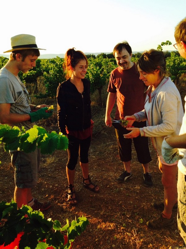 Les Clos d'Elis, Mas de Boissonnade, Gignac