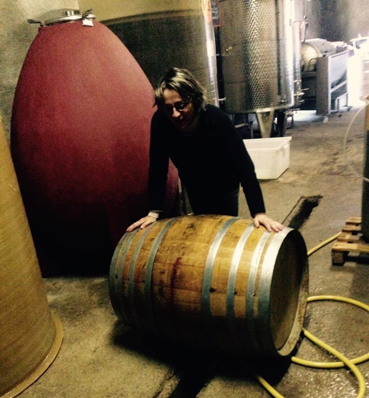 travail au chai Mas de Boissonnade