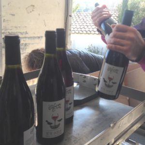 Les vins du Mas de Boissonnade