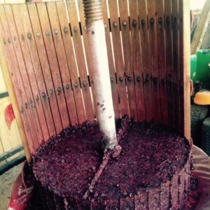 pressurage raisins Mas de Boissonnade