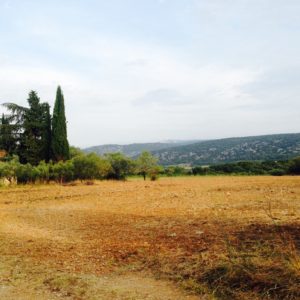 Terrain Aniane Mas de Boissonnade