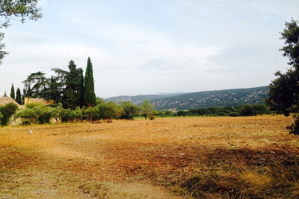 Terrain Aniane Mas de Boissonnade