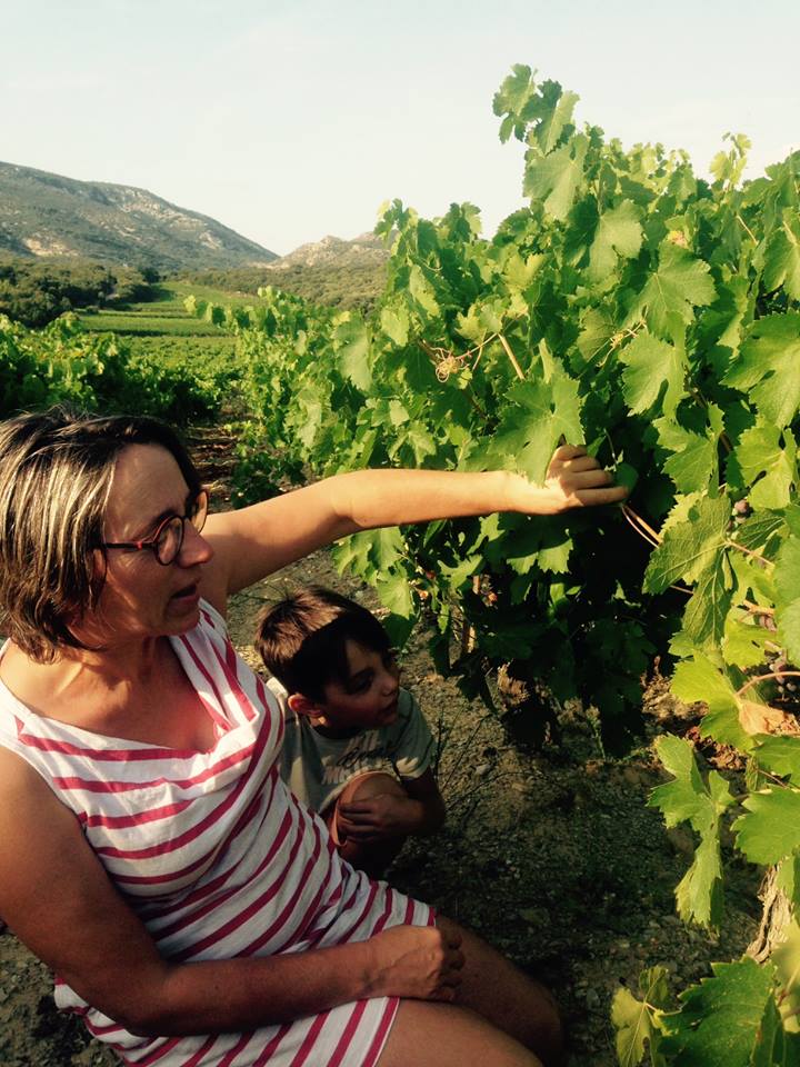 travail à la vigne Mas de Boissonnade