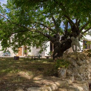 Le Mas de Boissonnade