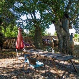 Jardin du Mas de Boissonnade