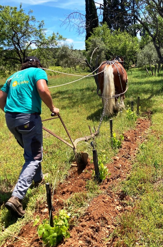 Les Clos d'Elis, Mas de Boissonnade, Gignac
