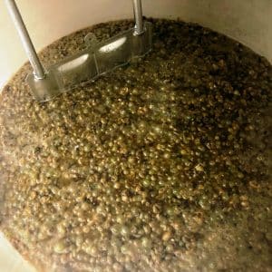 Au-chai-grenache-blanc