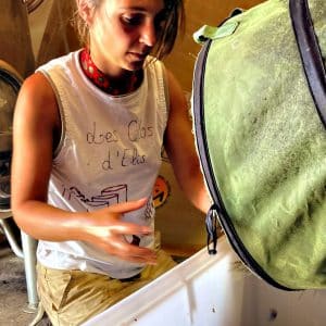 Vendanges-Egrappage-Juliette