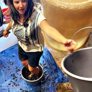 vendanges-foulage-Marie